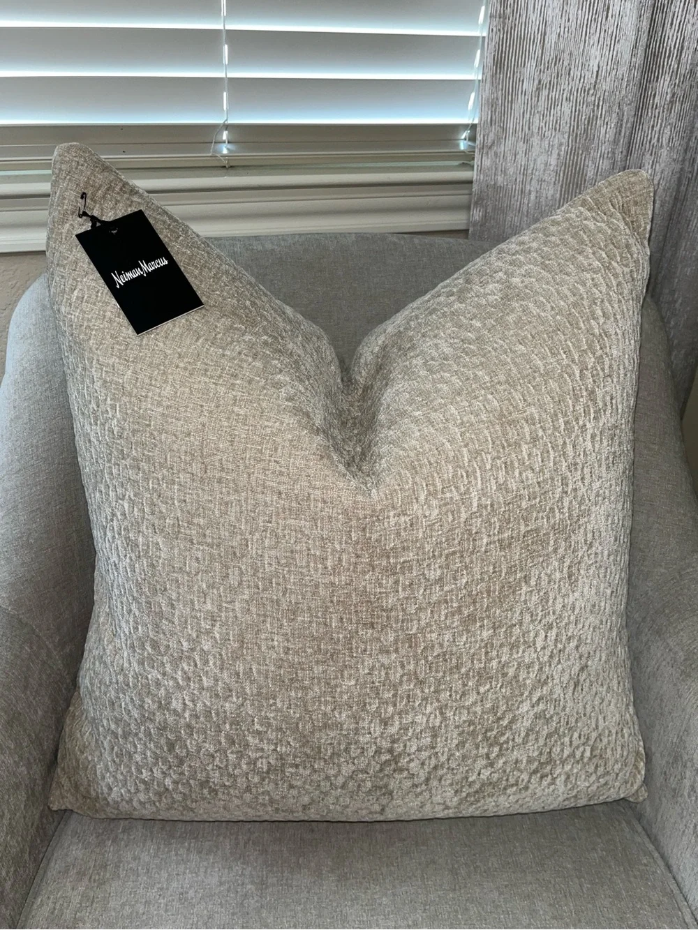 1-NWT NEIMAN MARCUS TEXTURE VELVET DESIGN DECORATIVE PILLOW (NH6200)